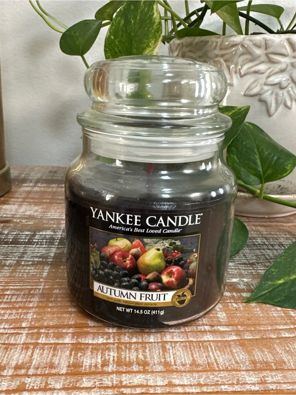 Yankee Medium Jar Candle 14.5oz Autumn fruit Seasonal Christmas Thanks Giving